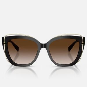 Tiffany & Co. Sunglasses 
TF4148

Elegant Black and Gold Sunglasses